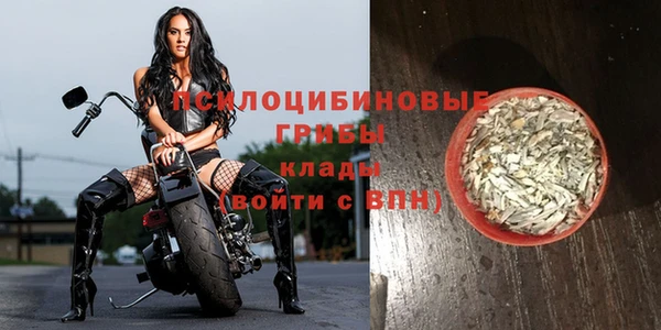прущий лед Балахна