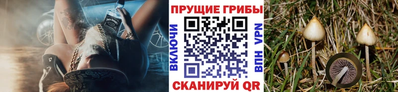 Псилоцибиновые грибы ЛСД Слободской